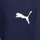 Puma pant mens 3