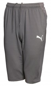 Puma short mens 1