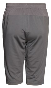 Puma shorts mens 2