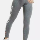 Northface leggings 2
