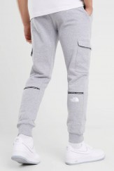 Northface Changla Pant Grey 2